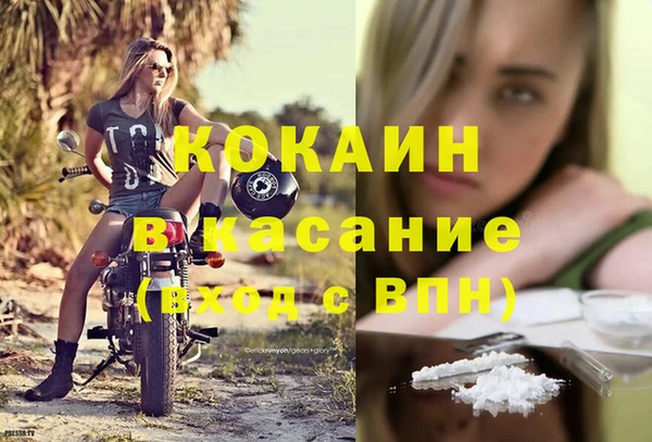 ECSTASY Богданович