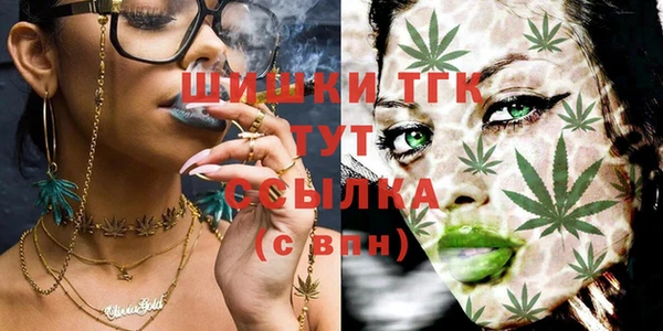 Альфа ПВП Осинники