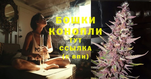 ALPHA PVP Новозыбков