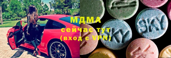 ECSTASY Богданович