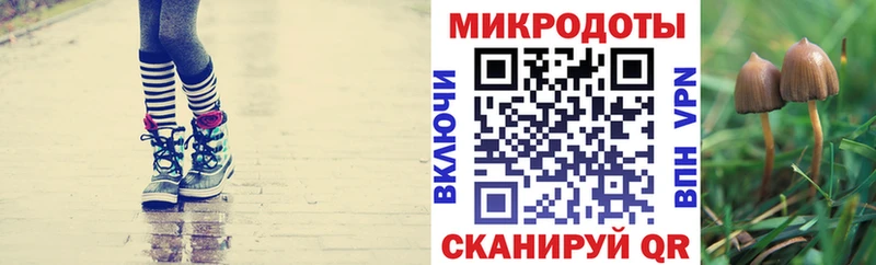 маркетплейс телеграм  Калининск  Галлюциногенные грибы Psilocybe 